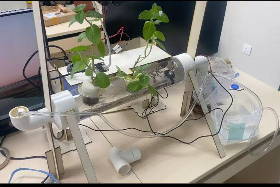 第四屆深港澳青少年創意設計大賽