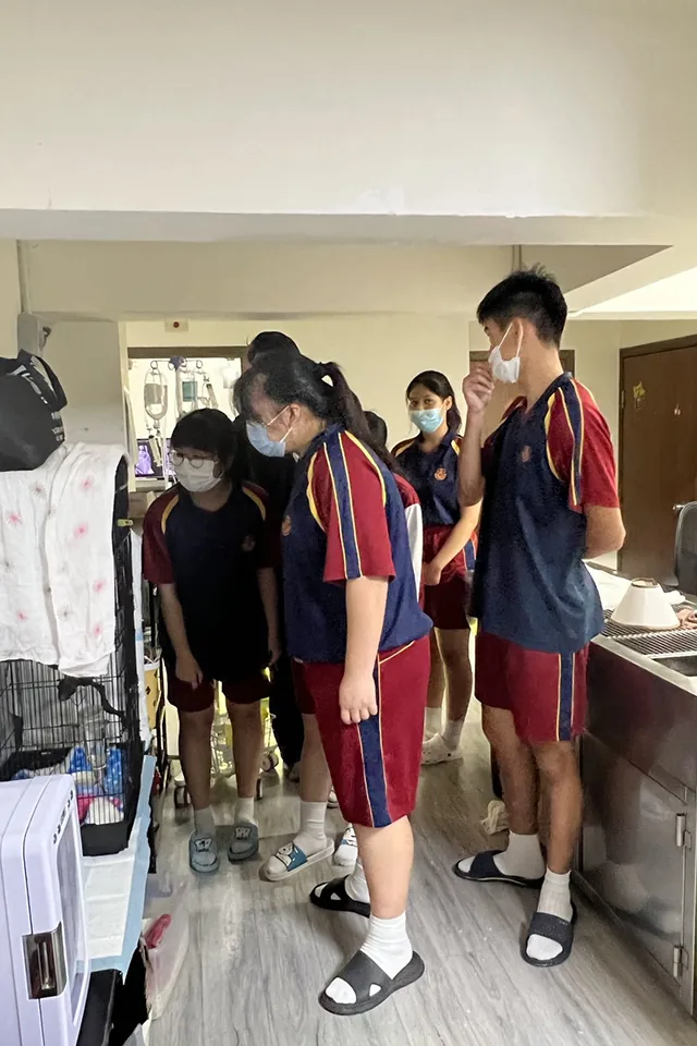 參觀愛加倍動物醫院