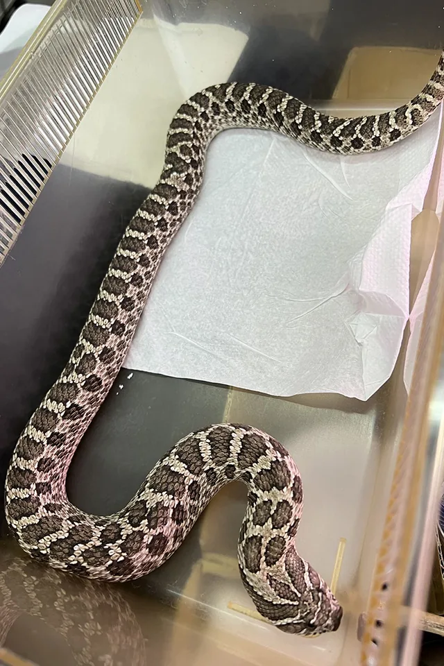 參觀愛加倍動物醫院