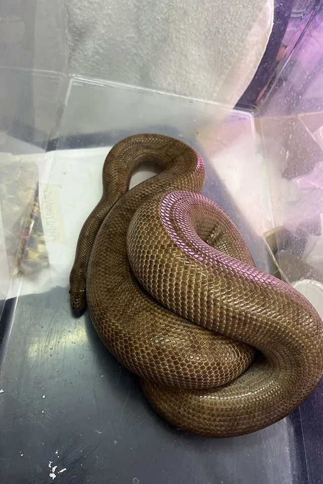 參觀愛加倍動物醫院
