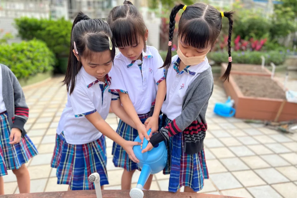 K3天台花園種植活動