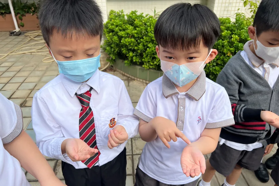 K3天台花園種植活動