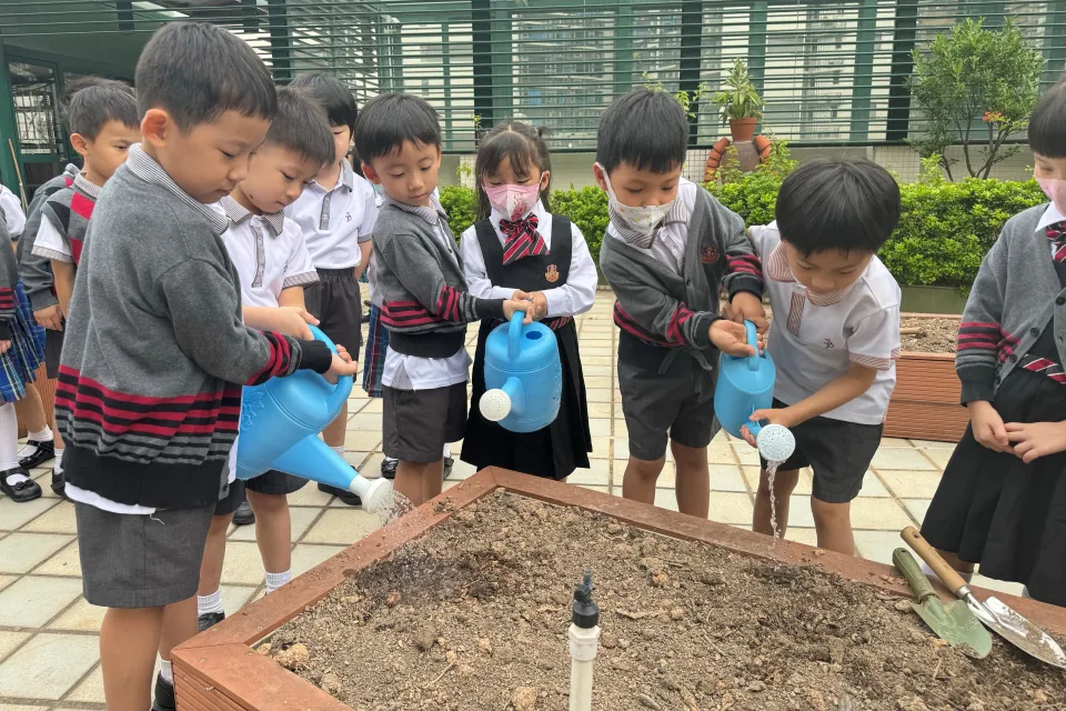 K3天台花園種植活動
