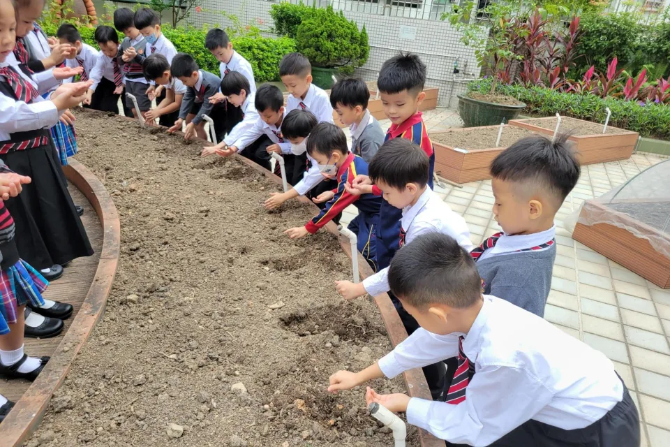 K3天台花園種植活動