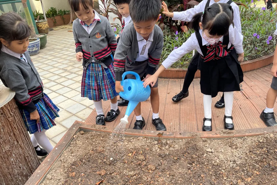 K3天台花園種植活動