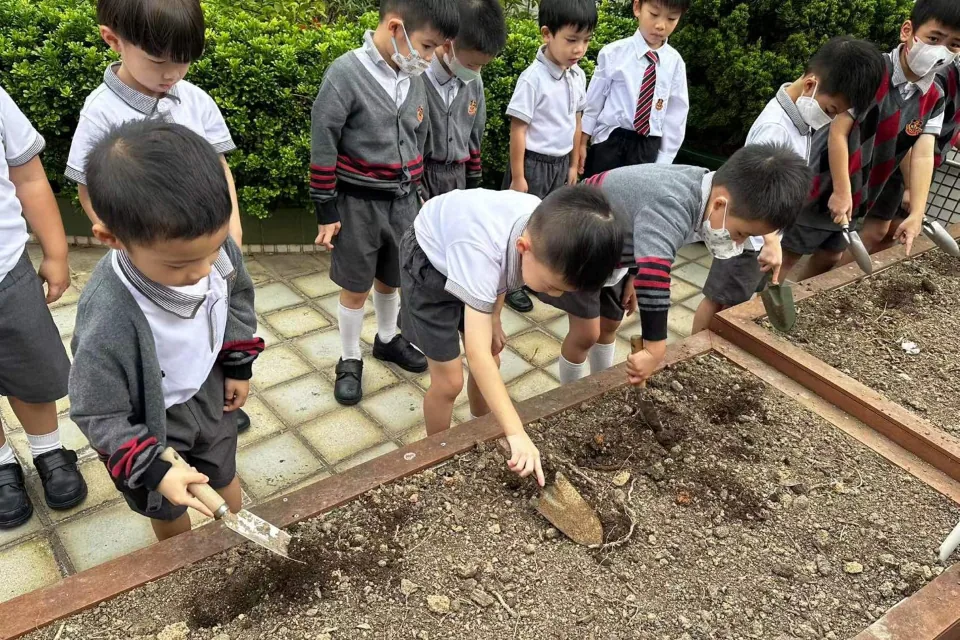 K3天台花園種植活動