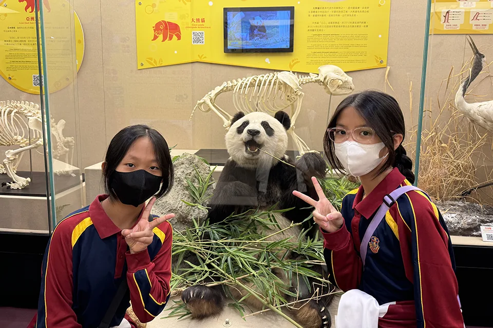 參觀澳門動物標本展示館