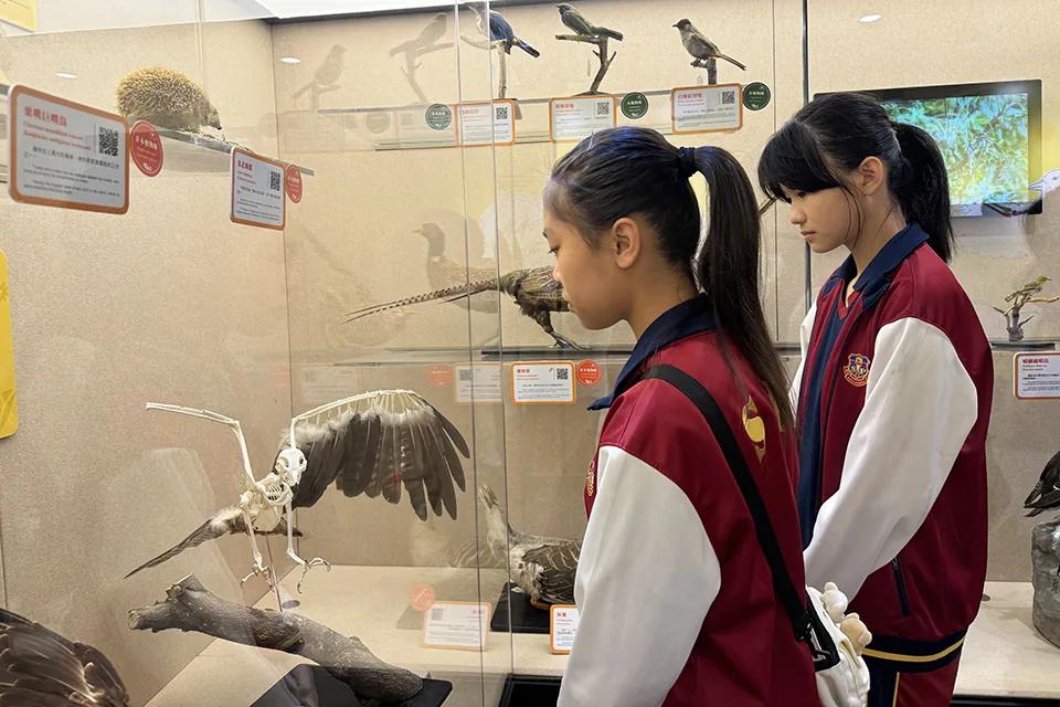 參觀澳門動物標本展示館