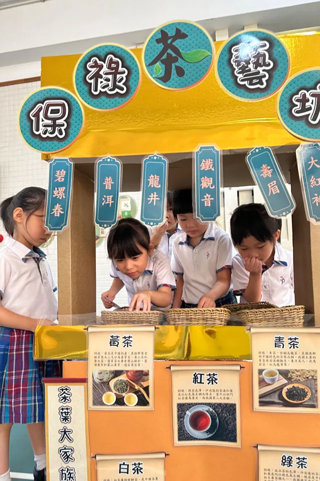幼稚園K3綜合活動