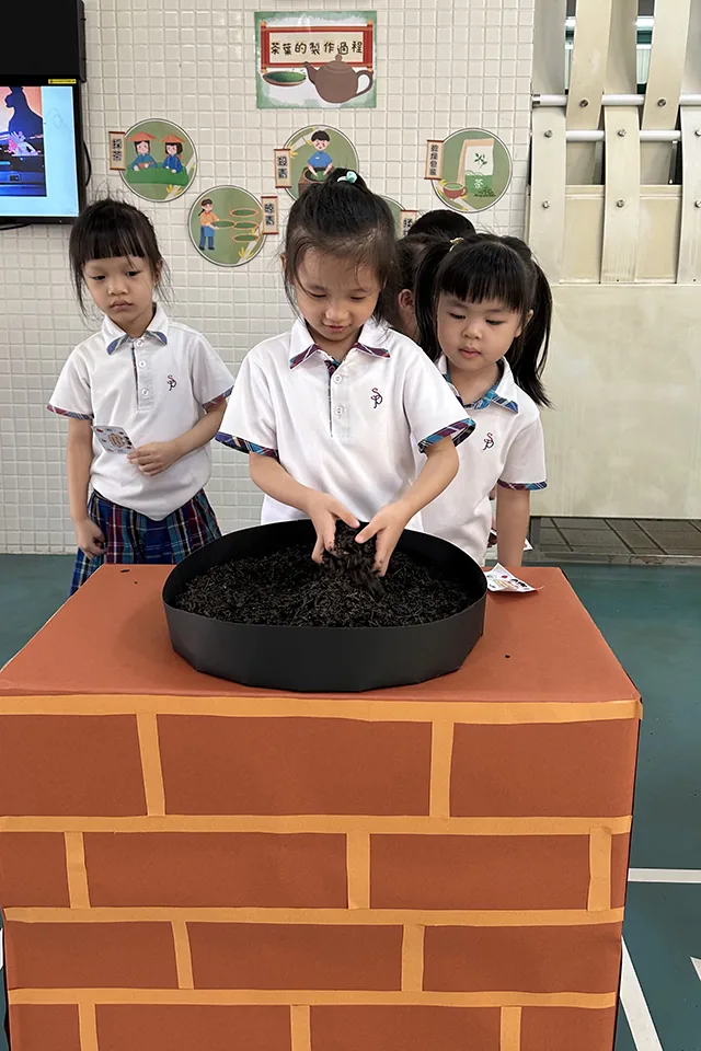 幼稚園K3綜合活動