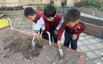 K3級天台種植活動
