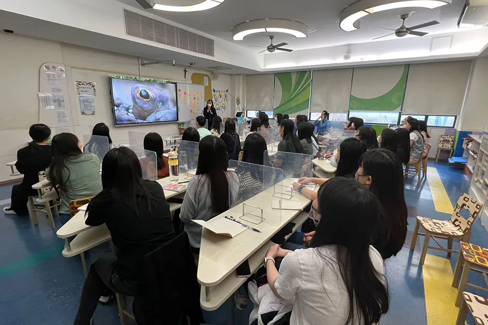 幼稚園校本培訓