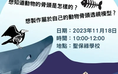 小一親子活動-動物骨骼透視模型工作坊