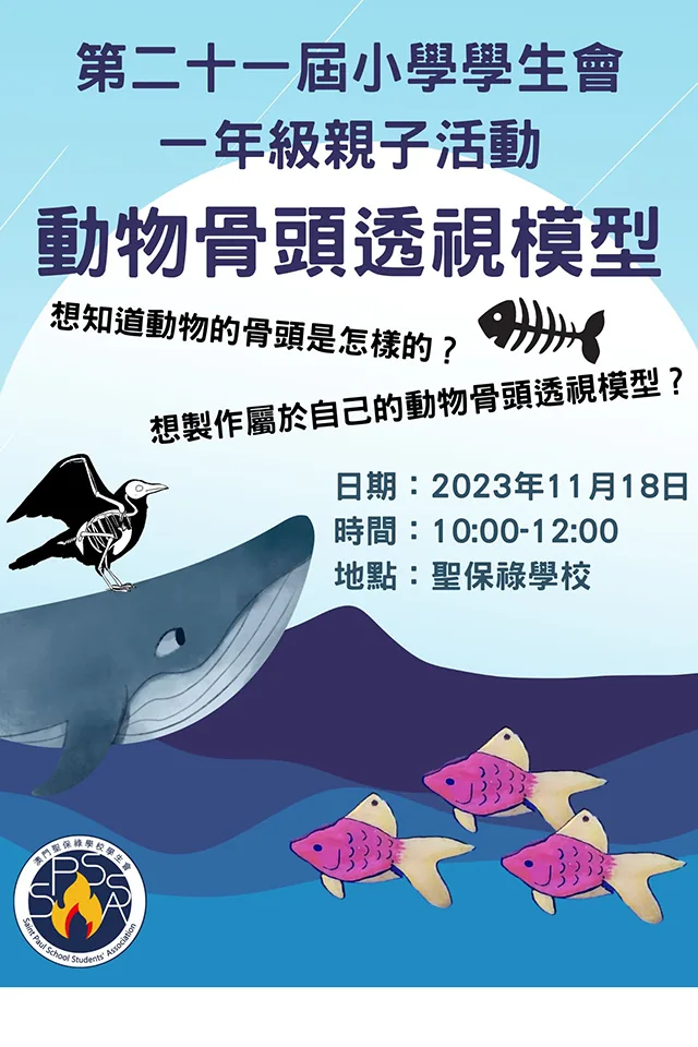 小一親子活動-動物骨骼透視模型工作坊