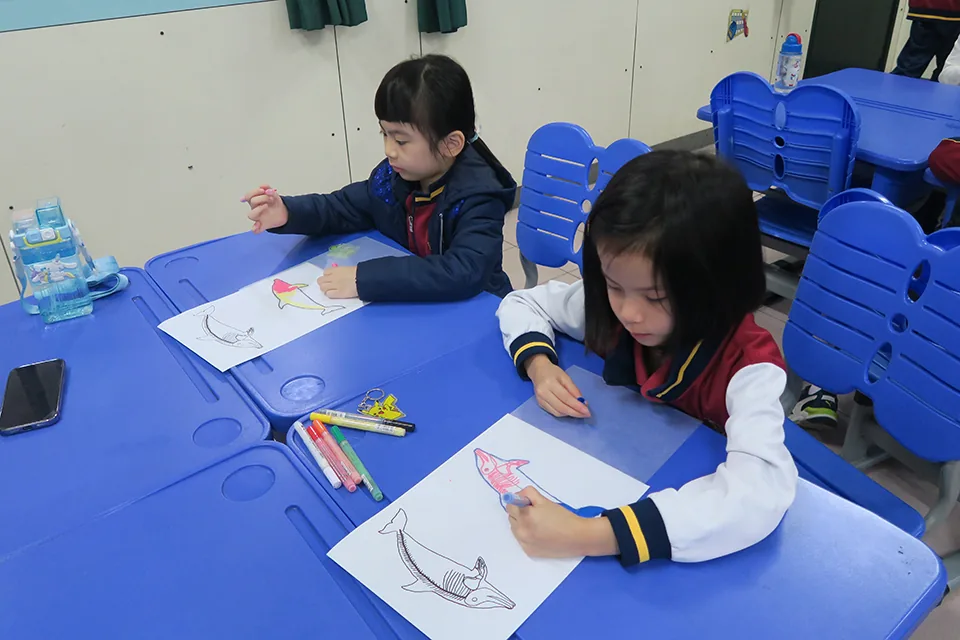 小一親子活動-動物骨骼透視模型工作坊
