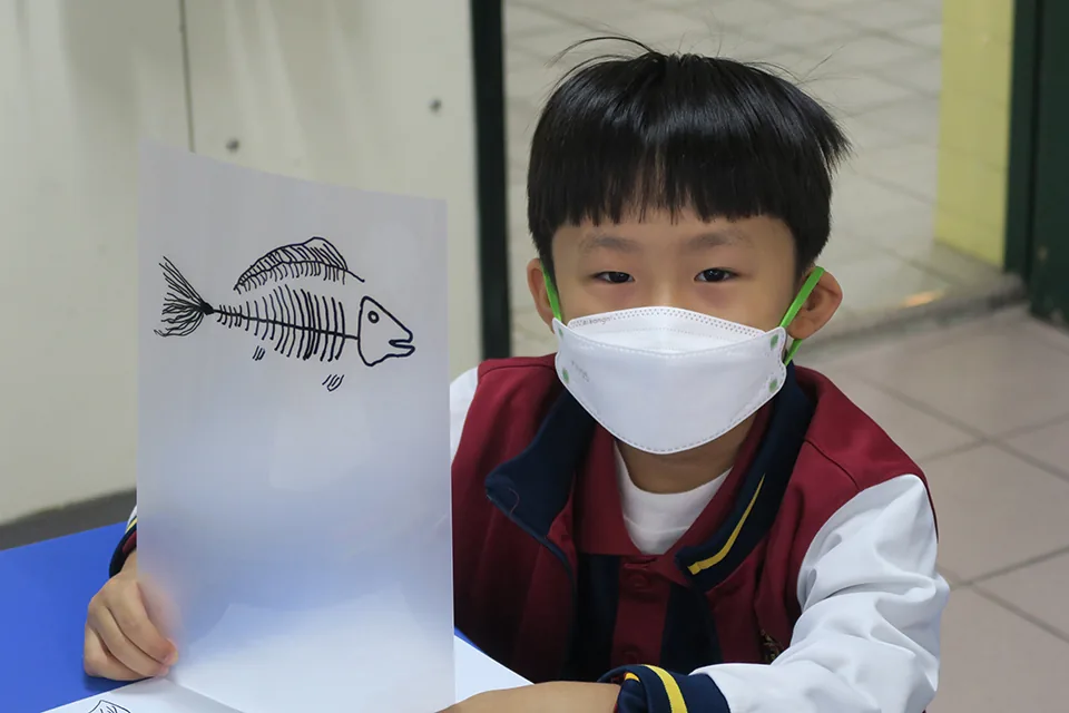 小一親子活動-動物骨骼透視模型工作坊