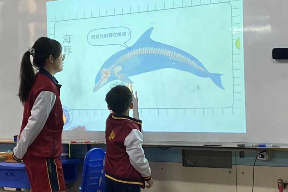 小一親子活動-動物骨骼透視模型工作坊