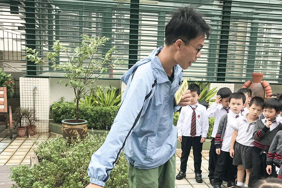 天台花園學習