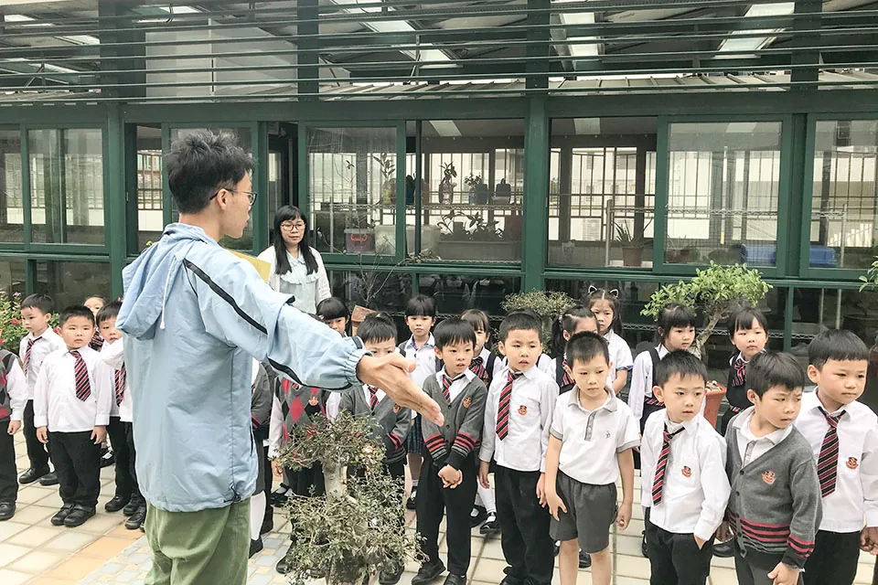 天台花園學習