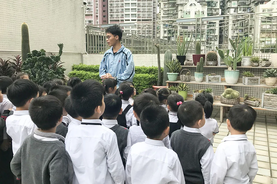 天台花園學習