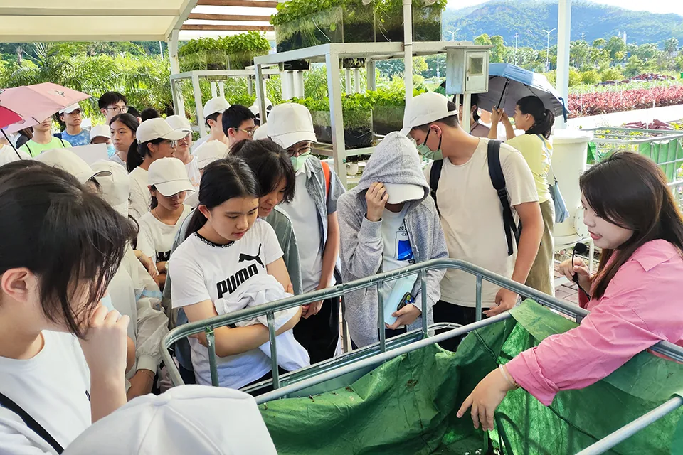 走進深合區 研學擴視野