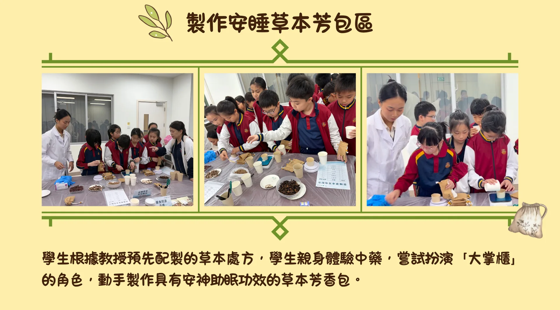 草本中藥辨識及體驗培訓
