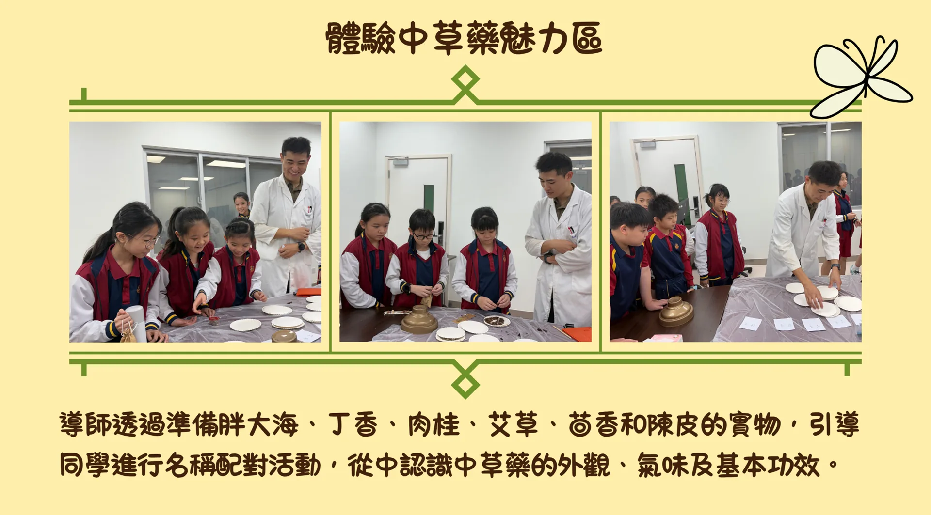 草本中藥辨識及體驗培訓