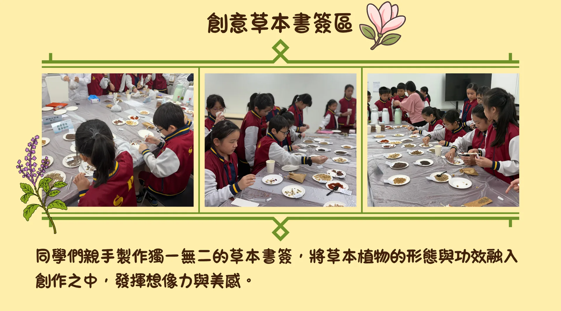 草本中藥辨識及體驗培訓