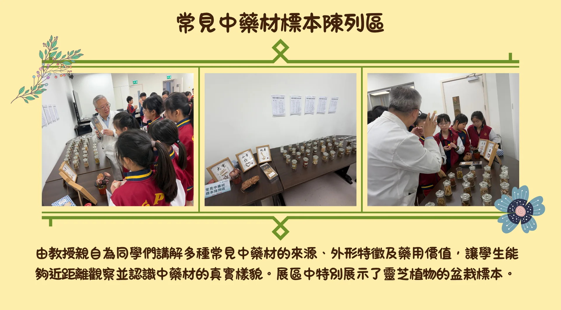 草本中藥辨識及體驗培訓