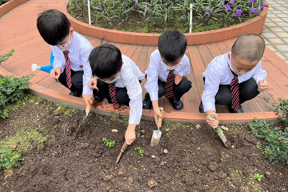K3天台花園種植活動