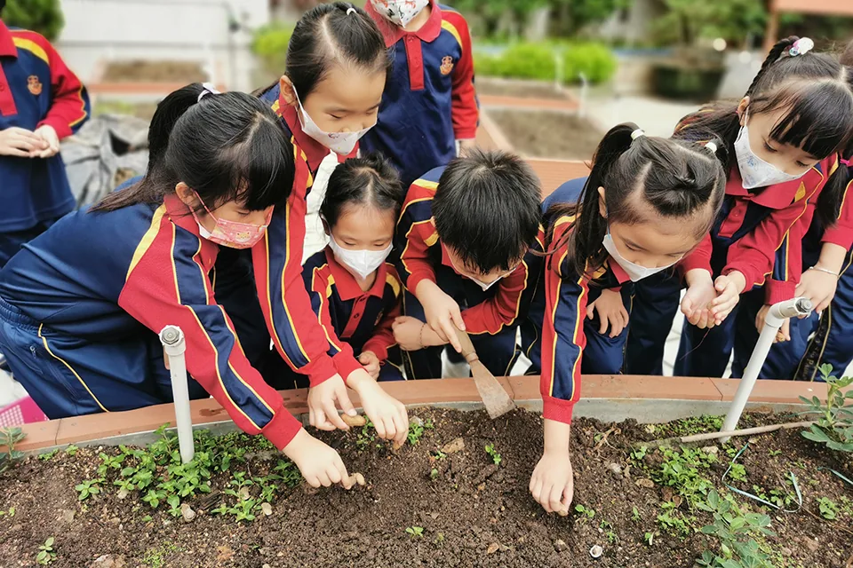K3天台花園種植活動