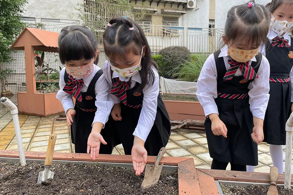 K3天台花園種植活動