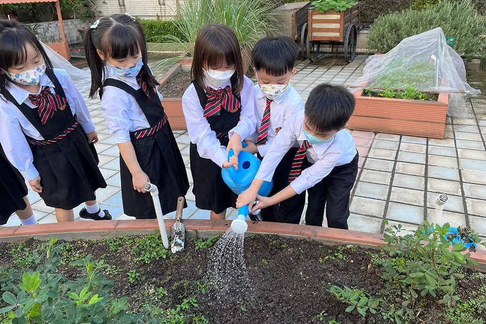 K3天台花園種植活動