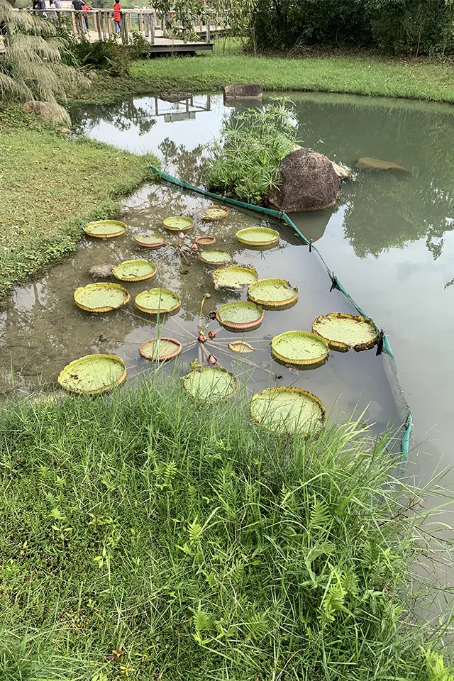 香港生態保育暨科普學習親子營
