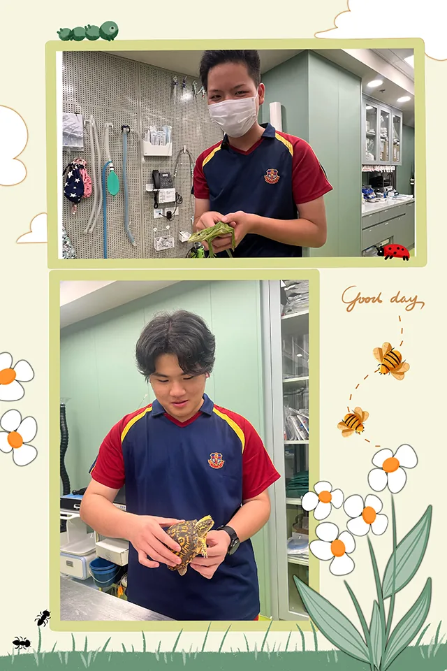 參觀愛加倍動物醫院