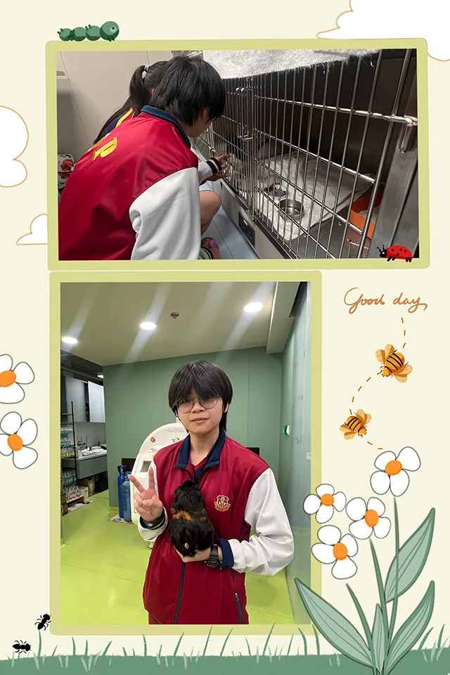 參觀愛加倍動物醫院