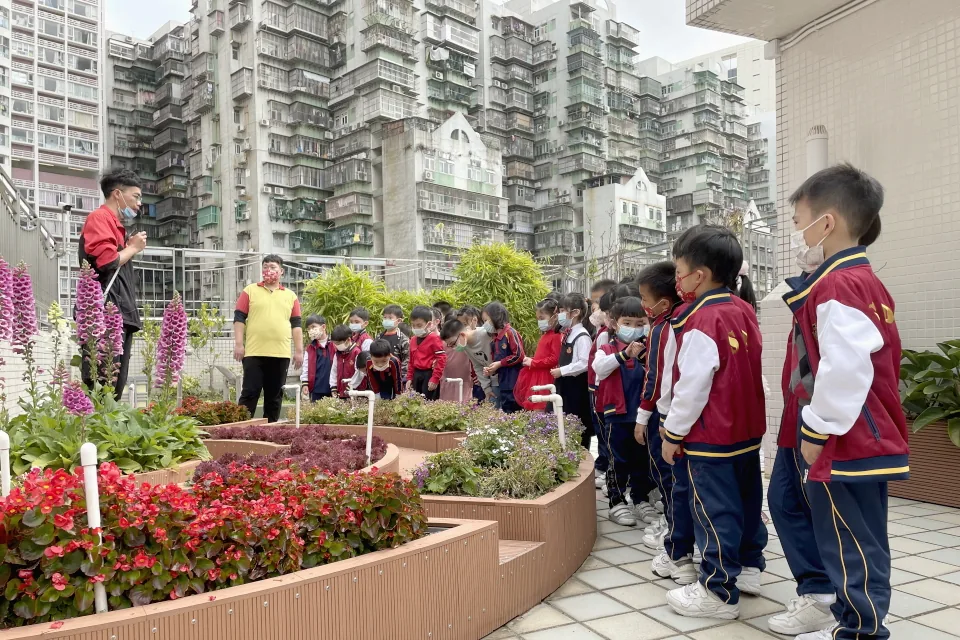 K3參觀學校天台花園