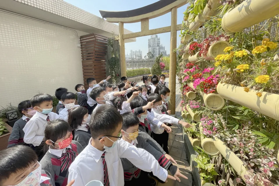 K3參觀學校天台花園