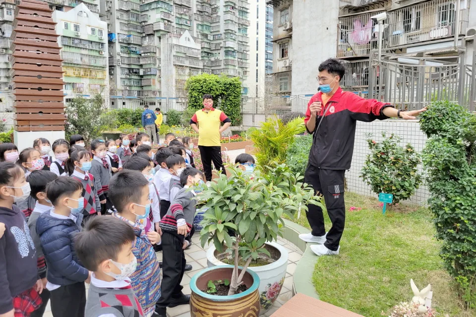 K3參觀學校天台花園