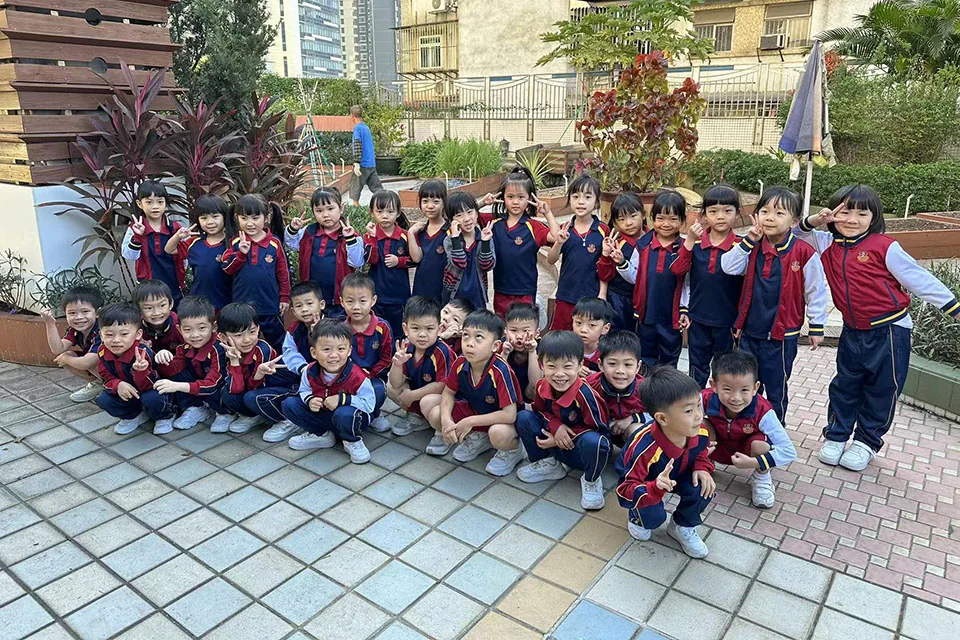 K3天台花園種植