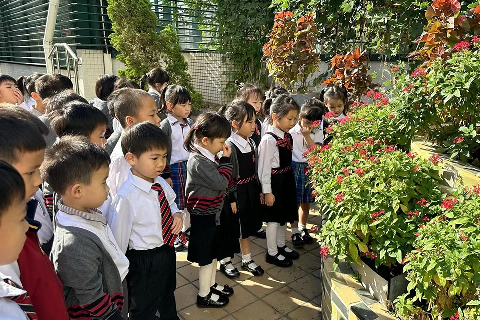 K3天台花園種植