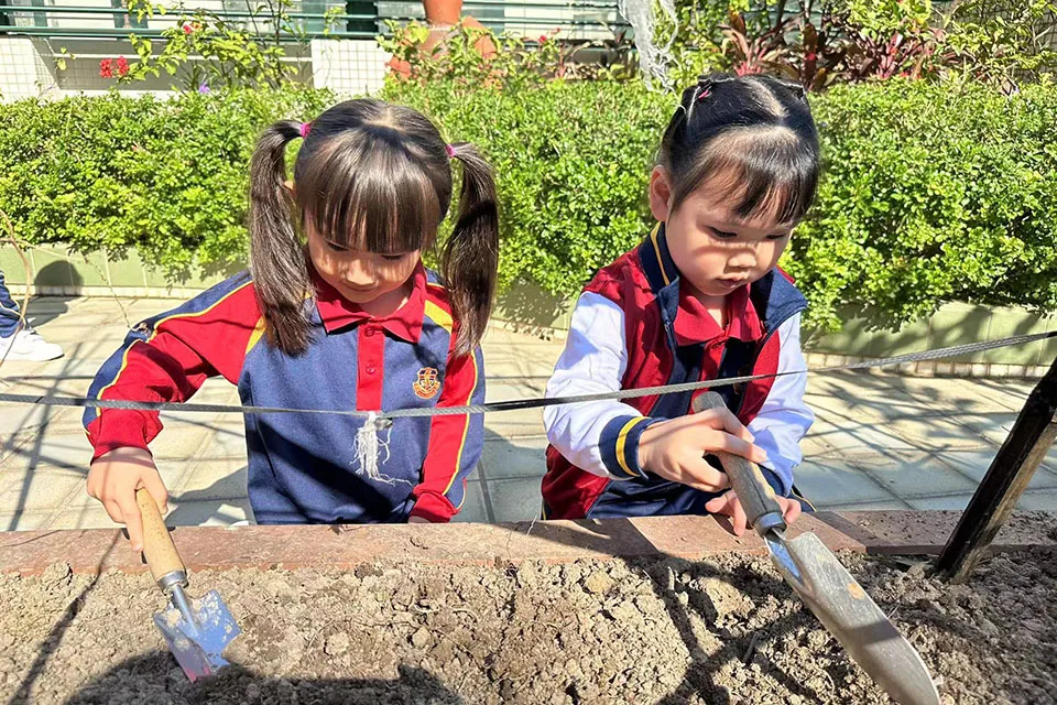 K3天台花園種植