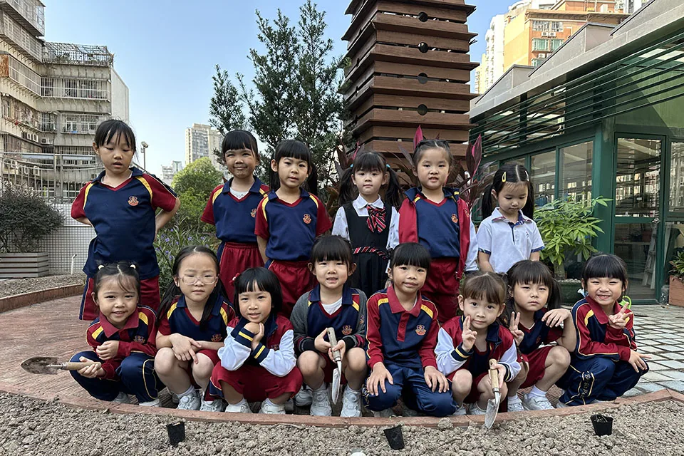 K3天台花園種植