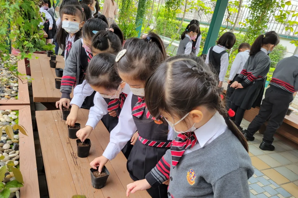 天台花園種植活動