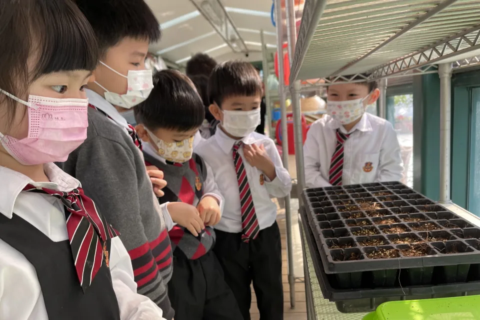 天台花園種植活動