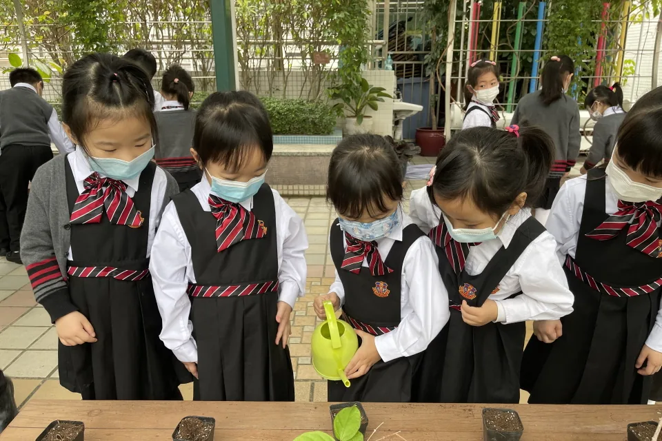 天台花園種植活動
