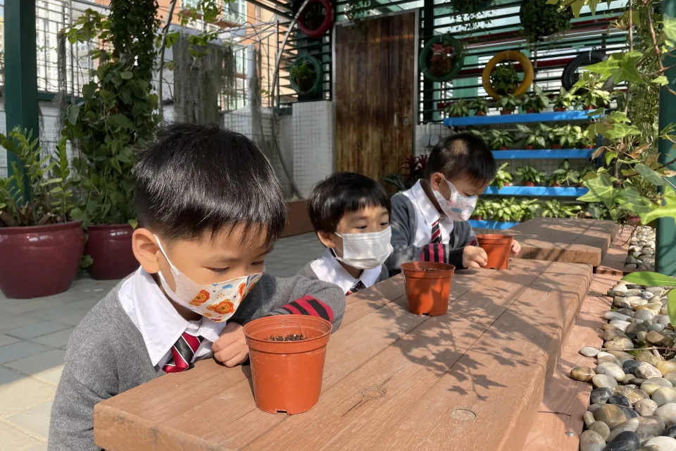 天台花園種植活動