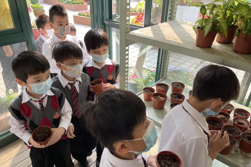 天台花園種植活動