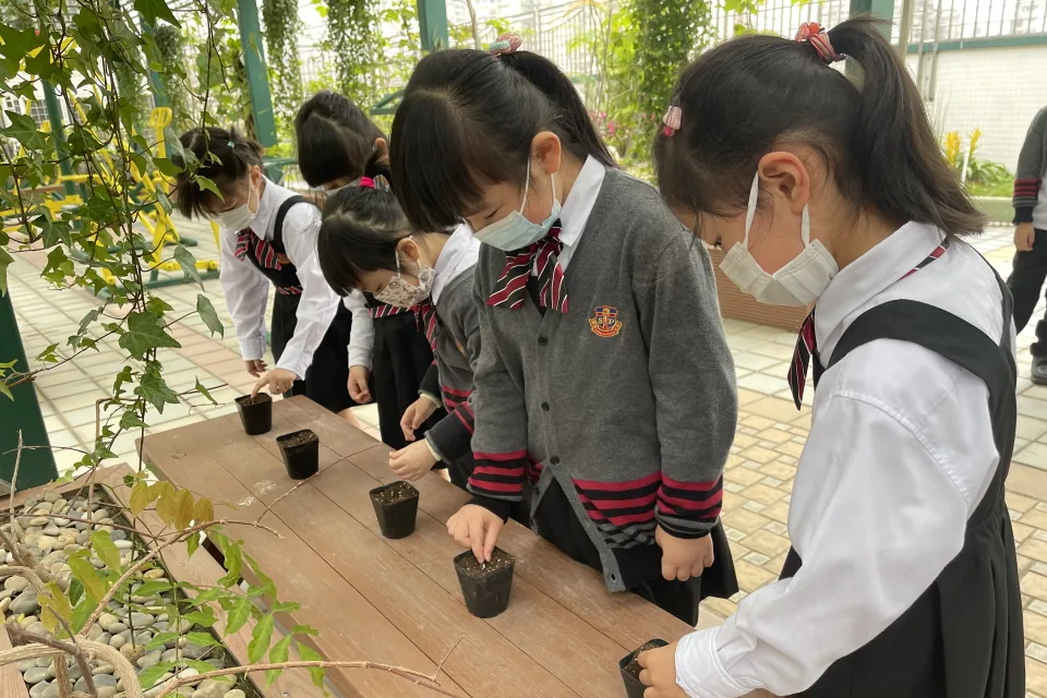 天台花園種植活動