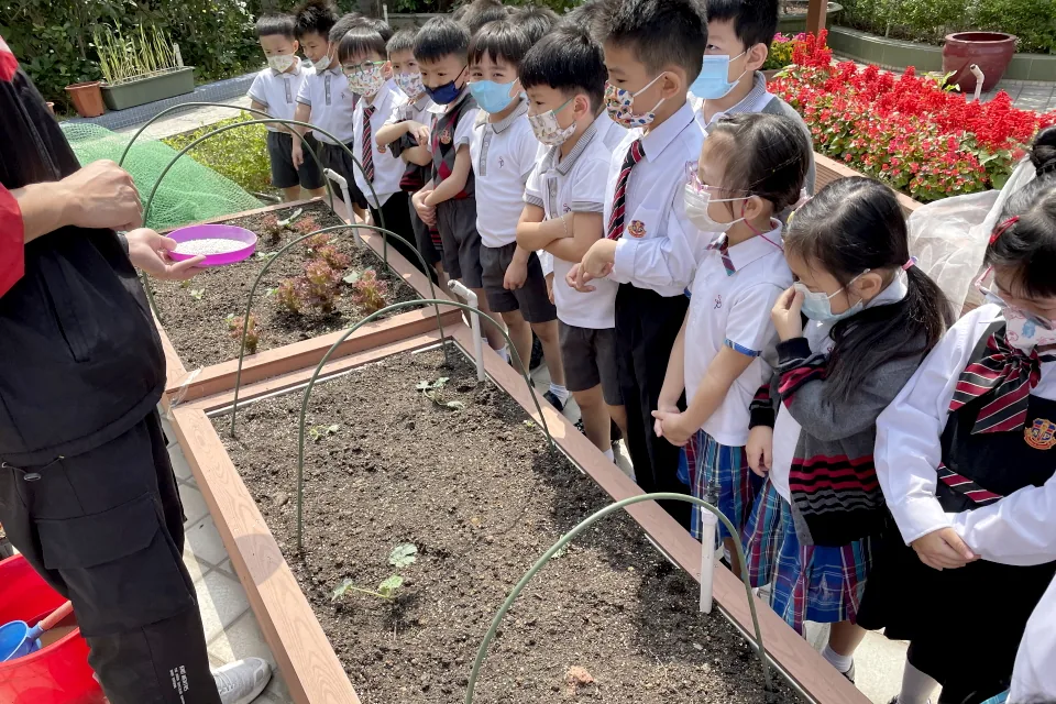 K3天台花園活動3